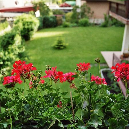 Ferienwohnungen Im Herzen Des Pfaelzerwaldes Elmstein 外观 照片