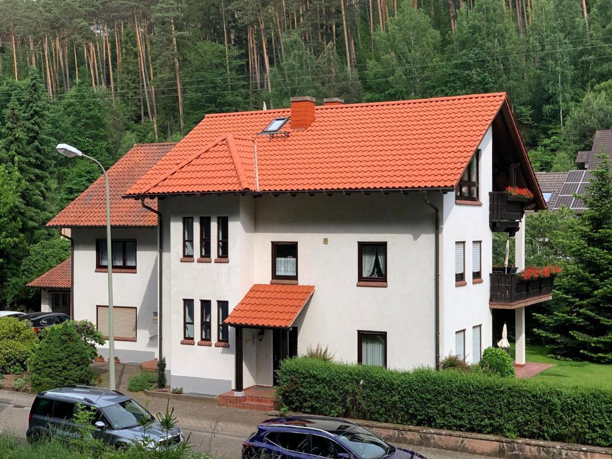 Ferienwohnungen Im Herzen Des Pfaelzerwaldes Elmstein 外观 照片