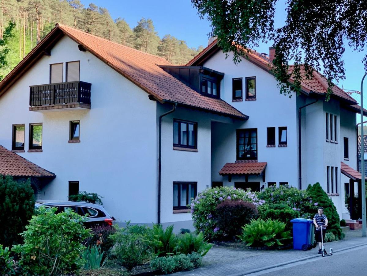 Ferienwohnungen Im Herzen Des Pfaelzerwaldes Elmstein 外观 照片